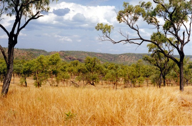 10-21-1998 23 Agate Creek valley.jpg