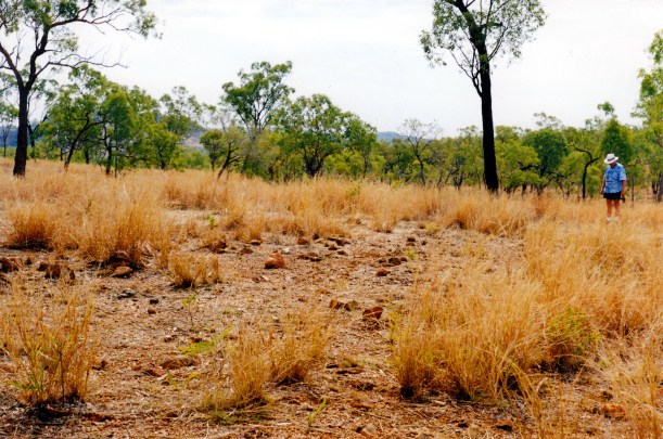 10-21-1998 24 Agate Creek fossicking area.jpg