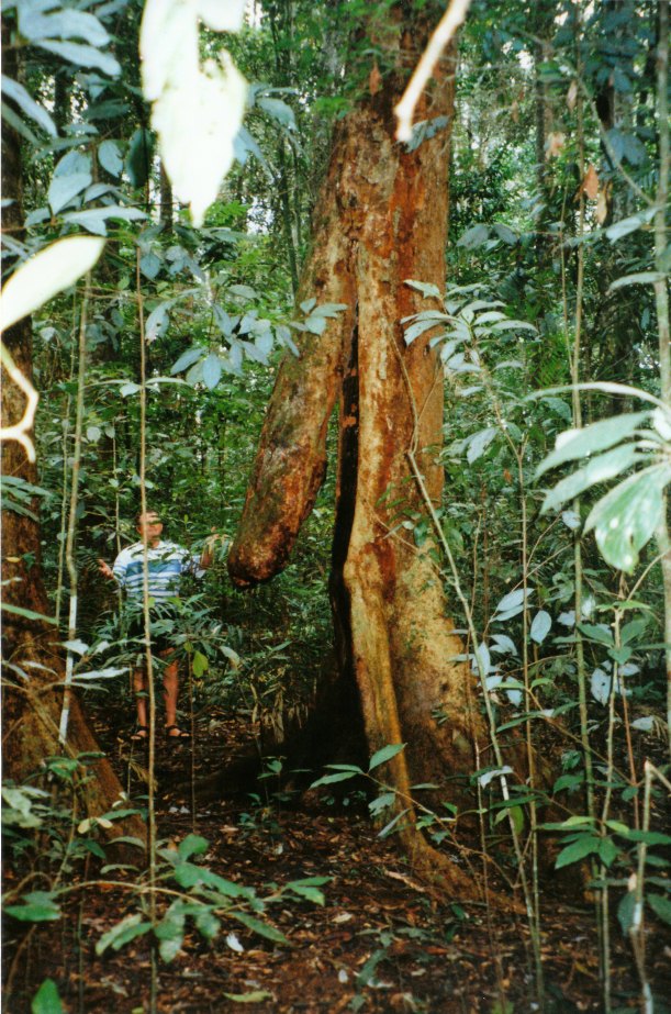 11-02-1998 04  trust a man.jpg