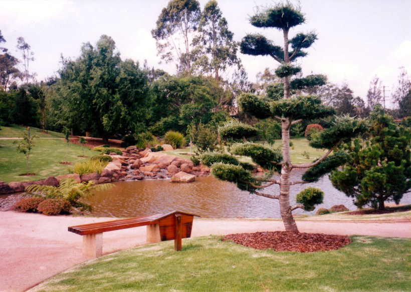 01-06-1999 Japanese Gardens and pine.jpg