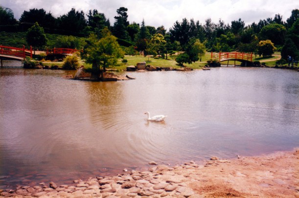 01-06-1999 Japanese Gardens scene.jpg