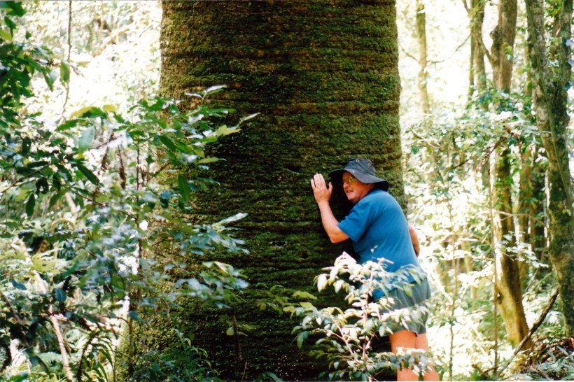 01-07-1999-bunya-mts-nat-park