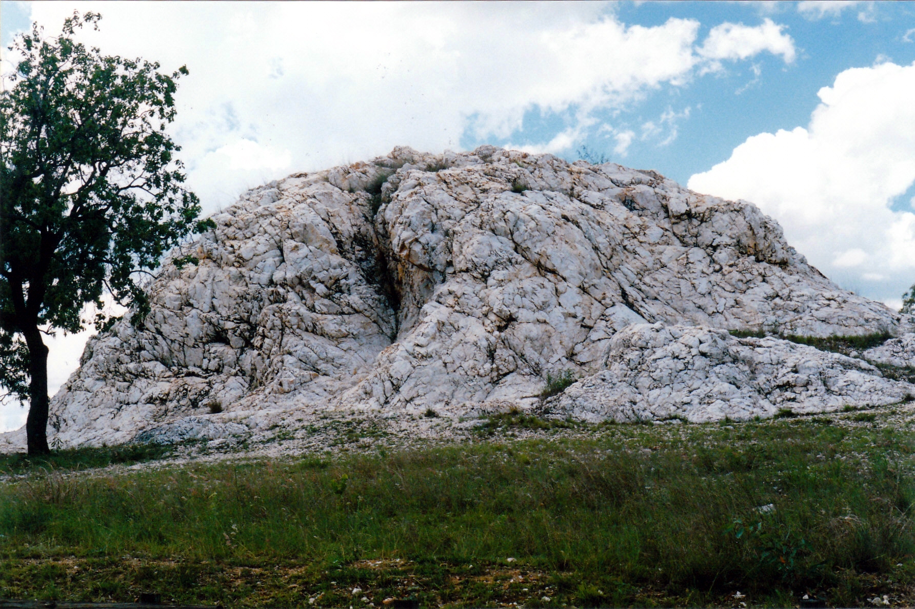 12-02-1998 07 white hill ravenswood.jpg