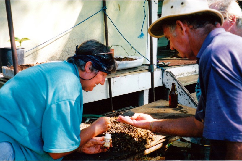 12-14-1998-mt-leura-fossicking