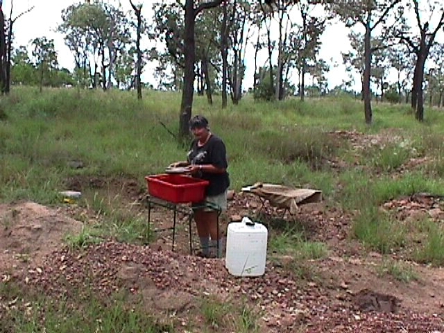 12-15-1998 Washpool Sap3.jpg