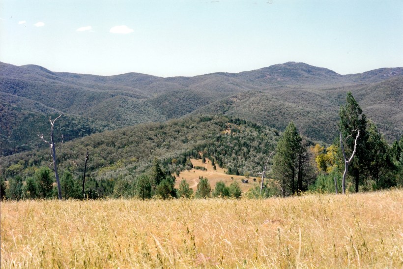 01-19-1999-the-track-to-severn-r