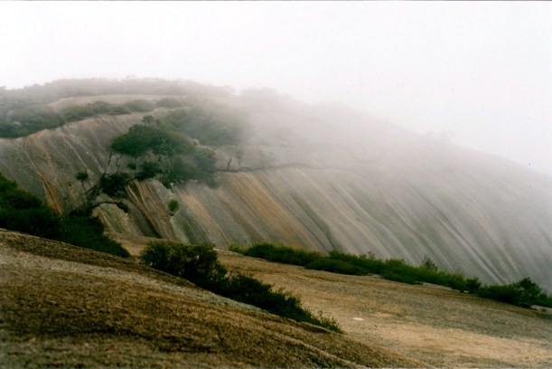 01-25-1999-bald-rock-in-fog