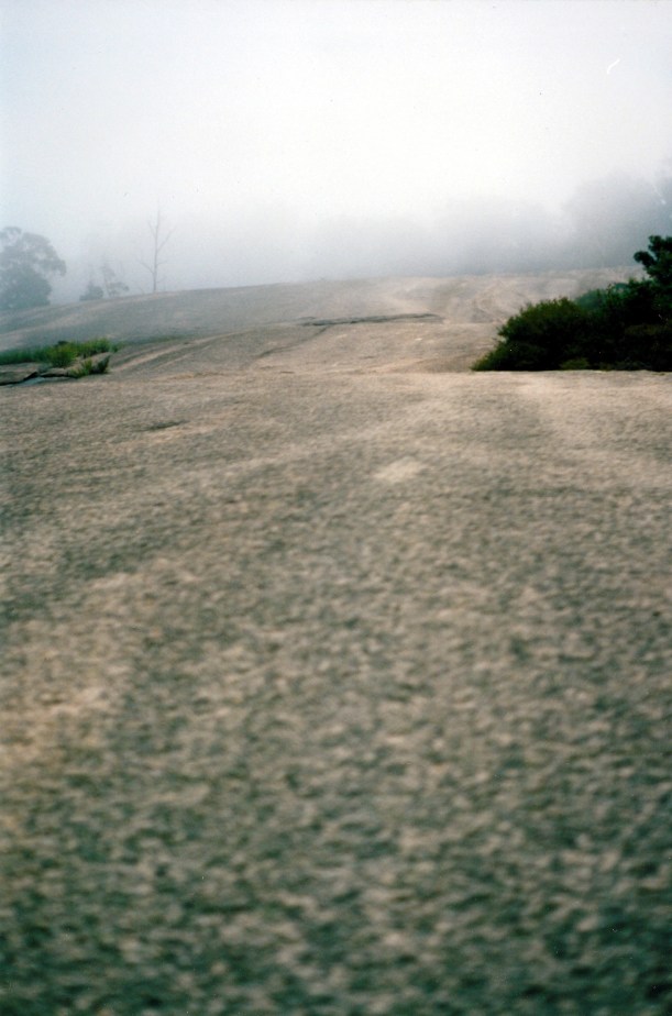 01-25-1999-bald-rock-looking-up
