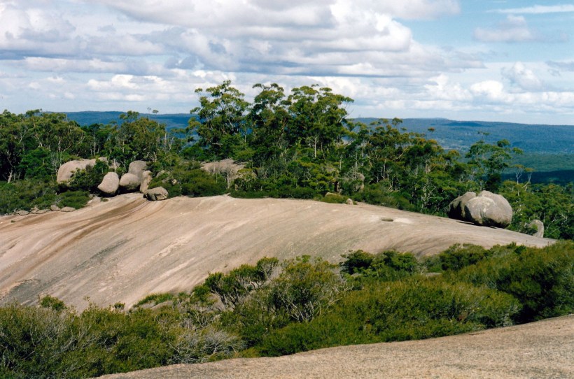 01-27-1999-bald-rock-on-top