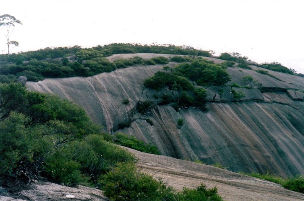 01-27-1999-bald-rock-summit
