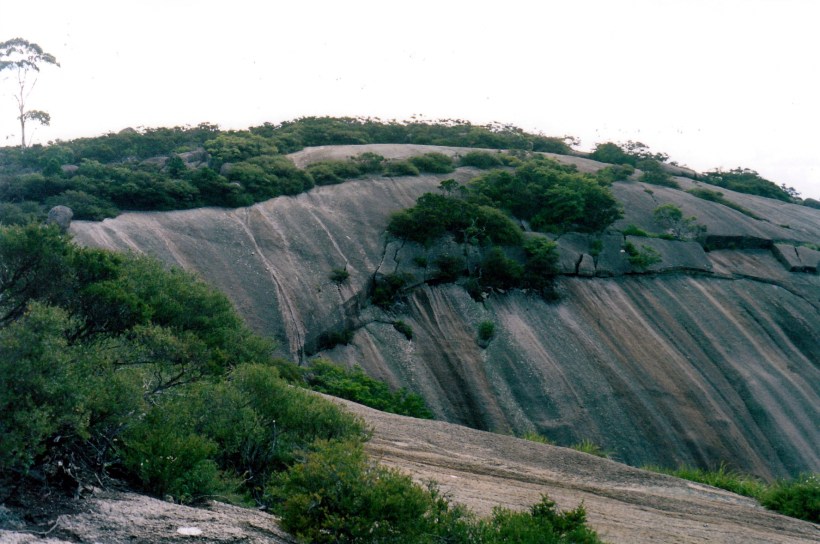 01-27-1999-bald-rock-summit