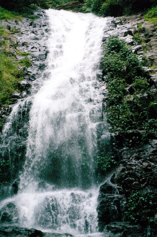 02-18-1999-dorrigo-np-tristania-falls