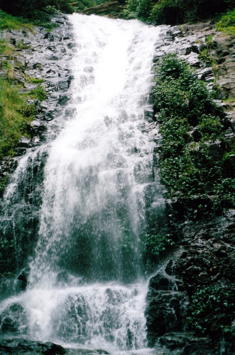 02-18-1999-dorrigo-np-tristania-falls