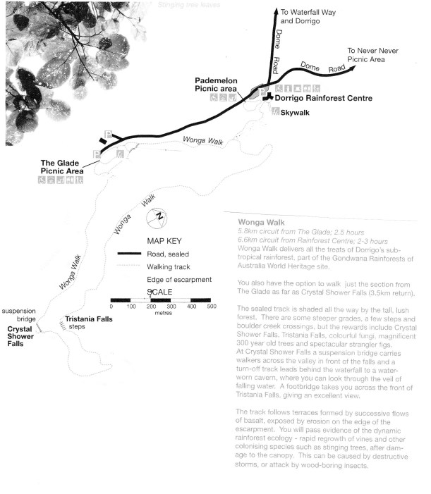 02-18-1999 wonga walk.jpg