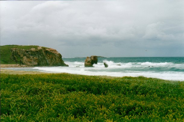 02-21-1999 red rock sea.jpg