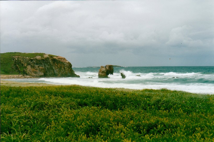 02-21-1999 red rock sea.jpg