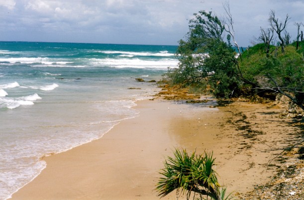 02-22-1999 beach Yuraygir NP.jpg