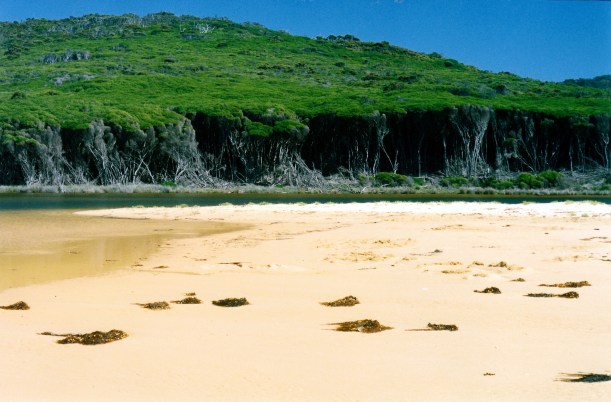 03-14-1999 Bournda Lagoon & titrees.jpg