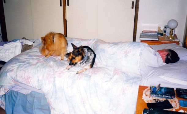 04-03-1999 john and dogs.jpg