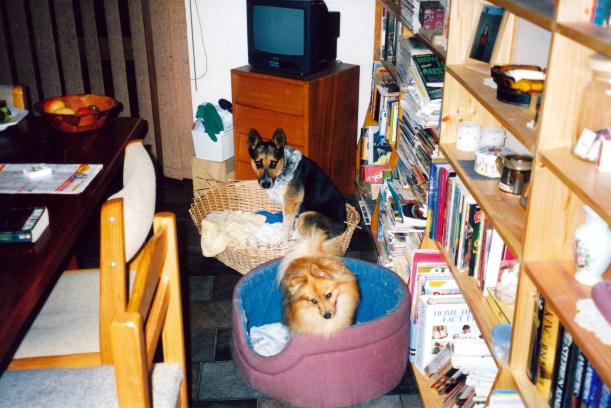 04-04-1999 Butch & Fox ready for supper.jpg