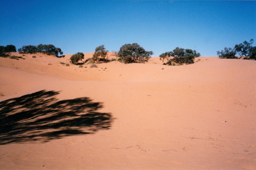 04-19-1999 Perry Sandhills Wentworth.jpg