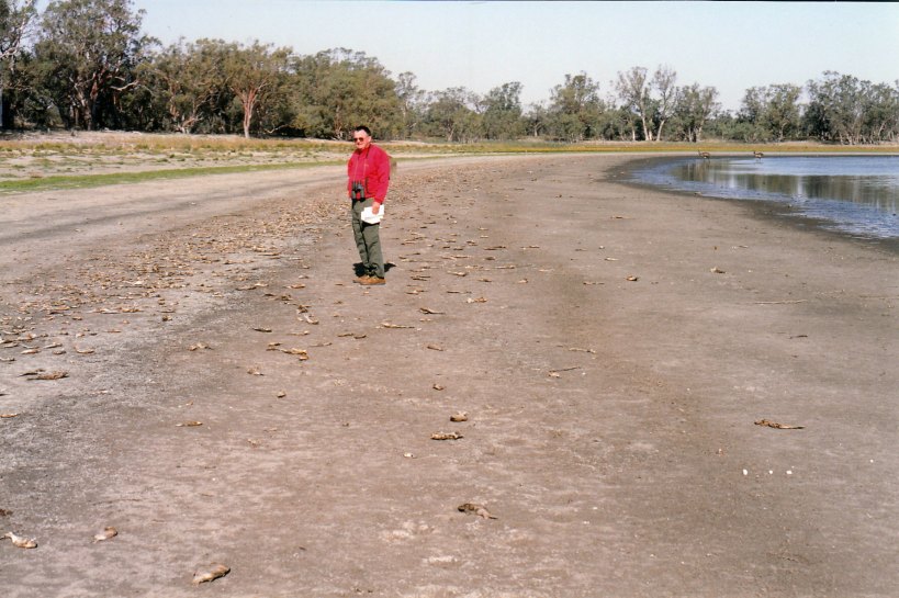 04-21-1999 04 hattah lake dead fish emus.jpg