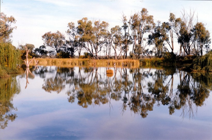04-25-1999 01 Murray R billabong by old pump station.jpg