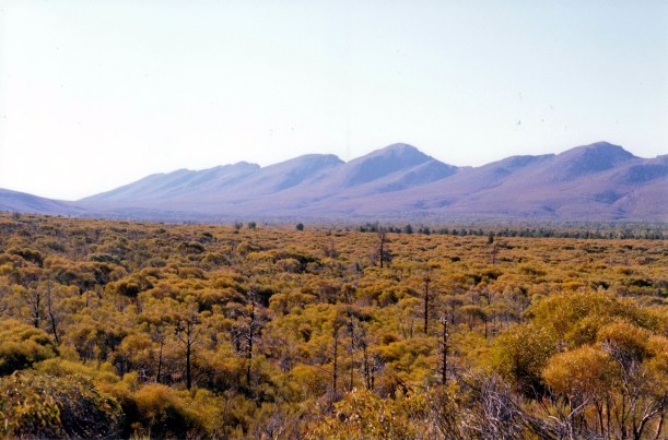 05-06-1999 07 St Marys Pk from Bridle Gap track.jpg