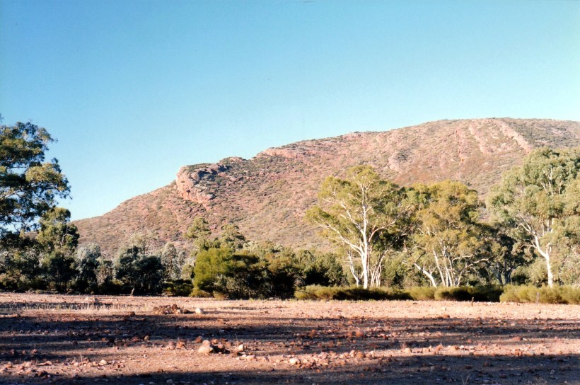 05-06-1999 09 late afternoon inside the pound