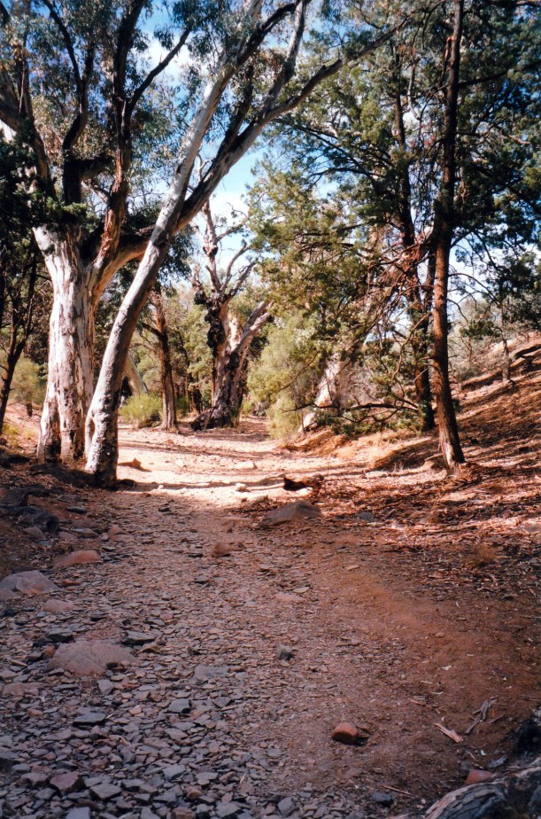 05-07-1999 06 Sacred canyon track.jpg
