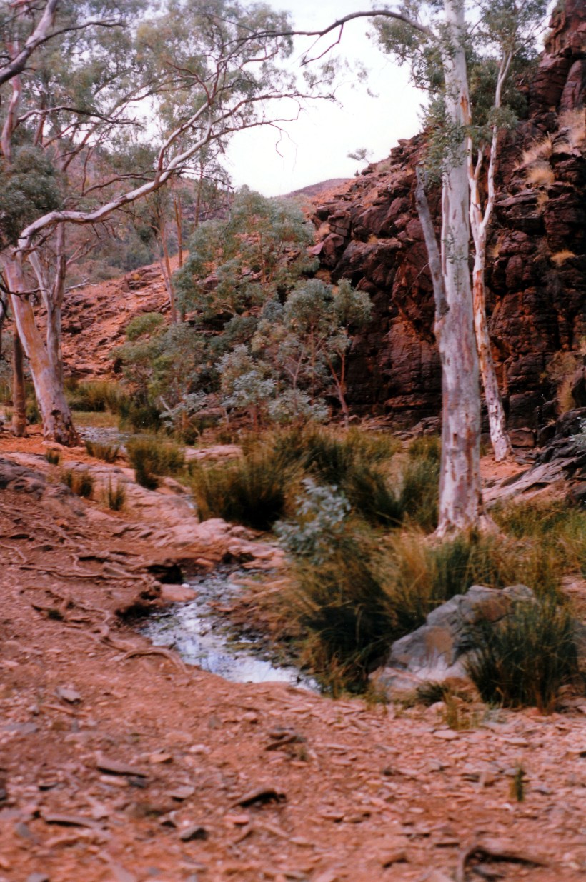 05-11-1999 01 Willow Springs.jpg