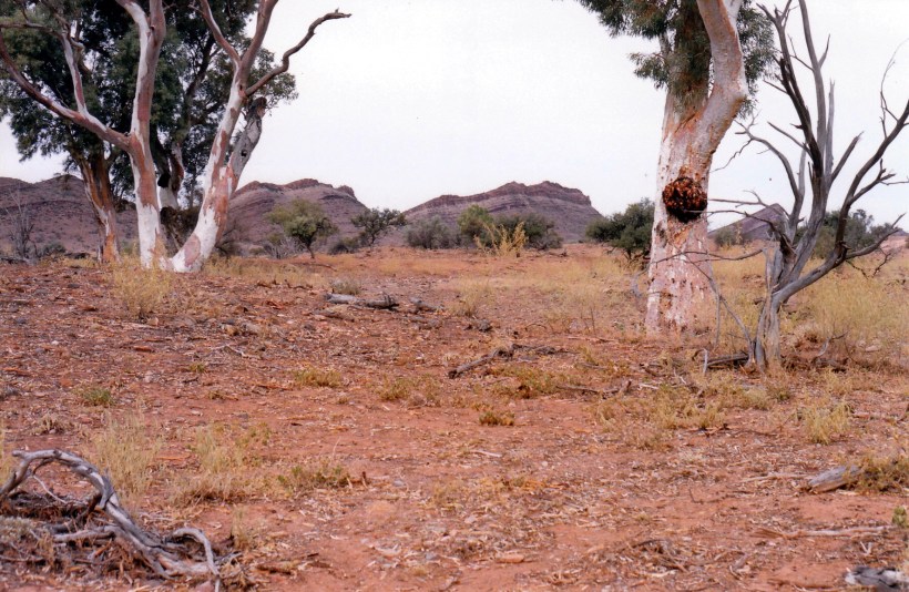 05-11-1999 08 gums and bunkers.jpg