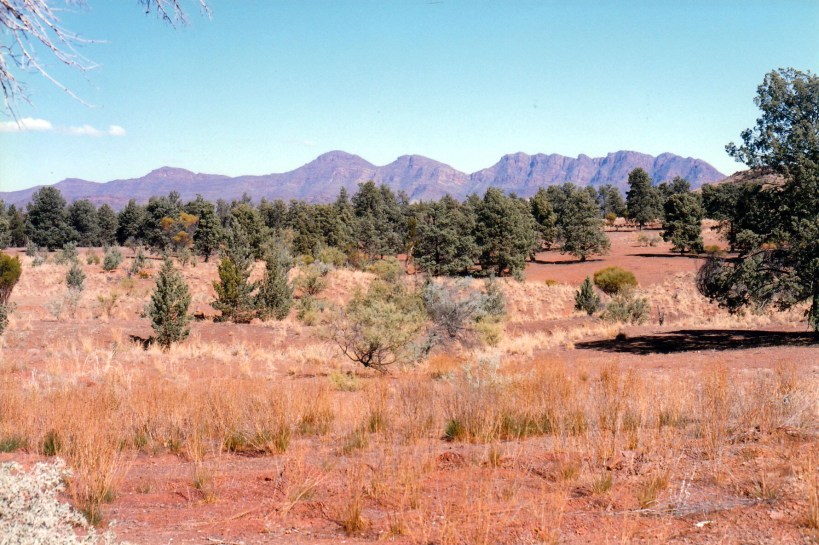 05-12-1999 01 heysen range from stock yard and huts