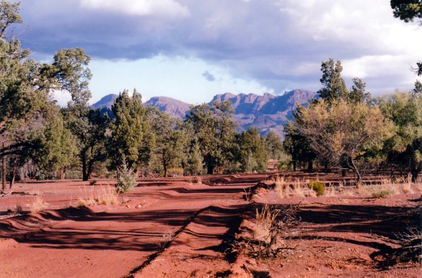 05-12-1999 09 walk track bunyeroo wilcolo tk - st marys peak.jpg