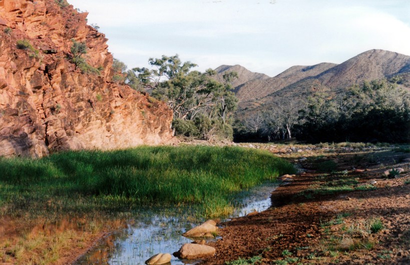 05-13-1999 07 permenent waterhole Wilkawillina Gorge.jpg
