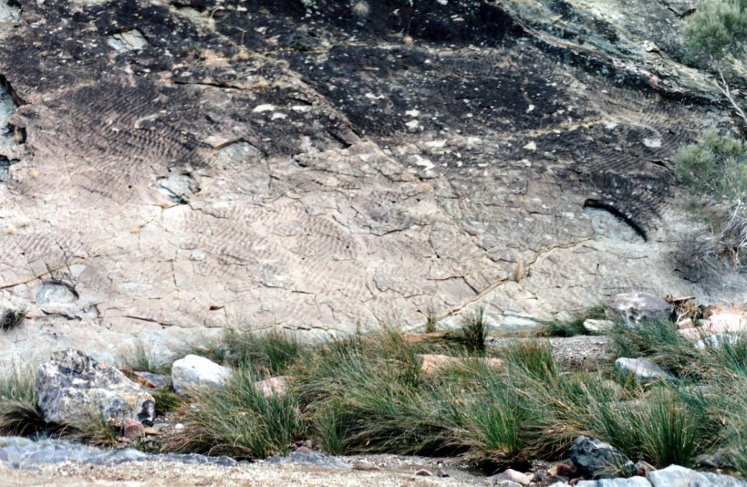 05-13-1999 08 Wilkawillina wave patterns.jpg