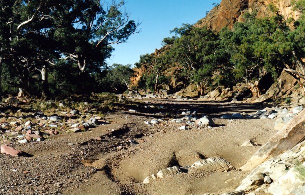 05-17-1999 06 wilkawillinia gorge.jpg