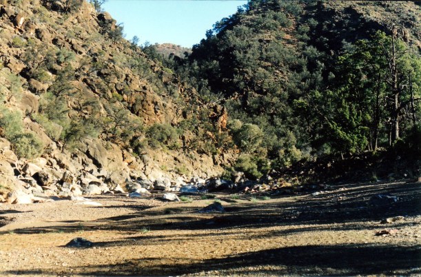 05-17-1999 07 wilawillina gorge