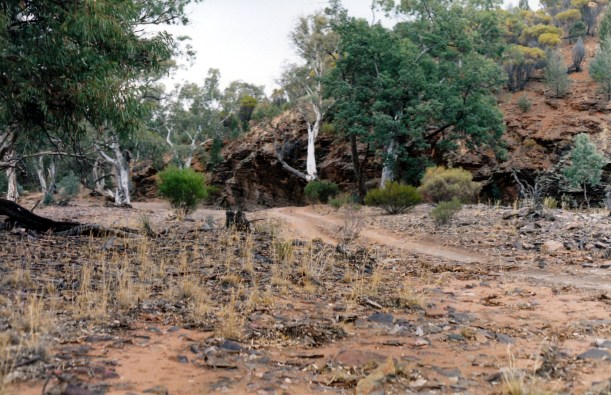 05-18-1999 03 Wearing Gap on Artimore tk