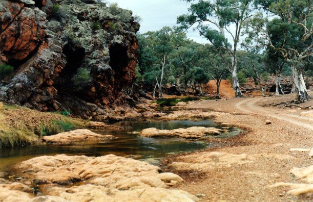 05-21-1999 01 frome river on angapena track.jpg