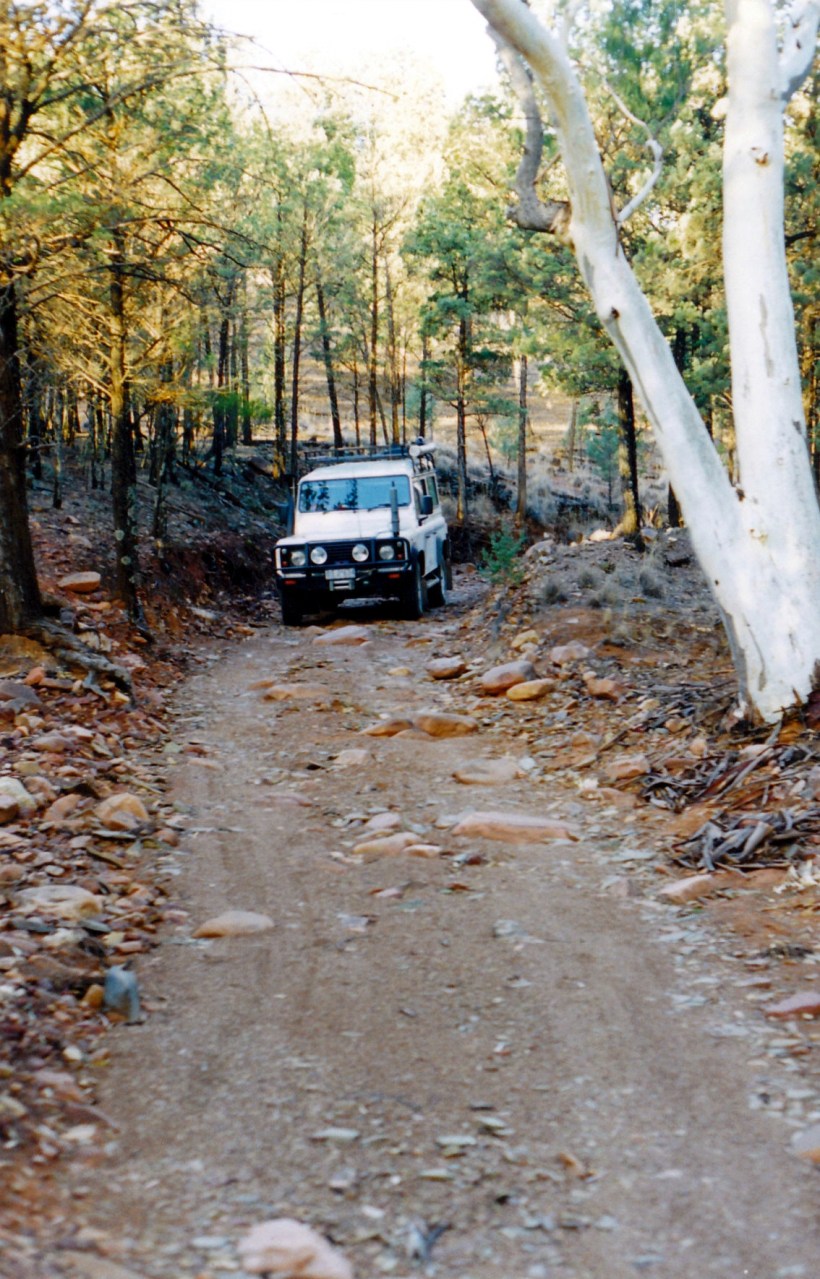 05-23-1999 11 warraweena track.jpg