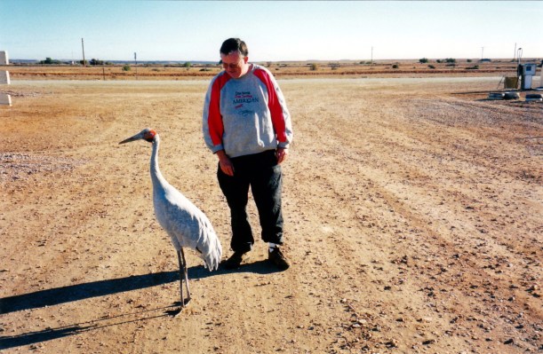 05-24-1999 03 big bird.jpg