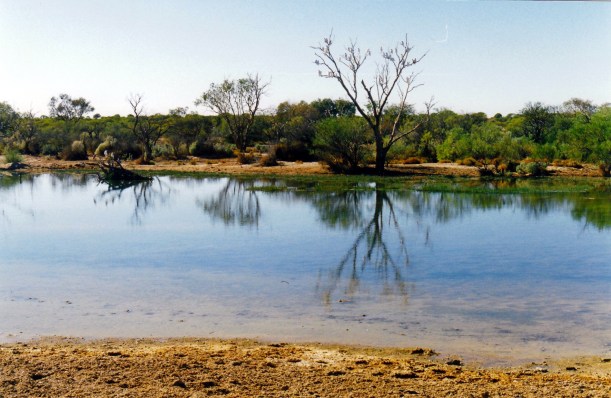 05-25-1999 02 muloorina camp waterhole