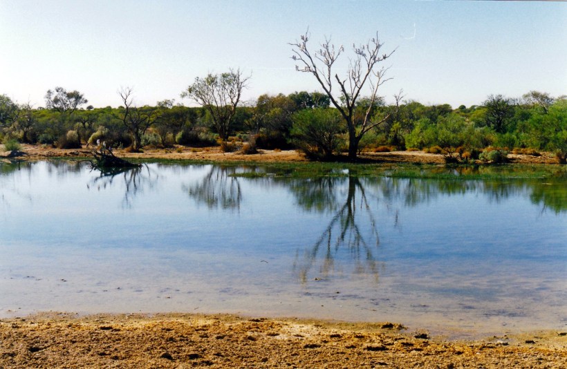 05-25-1999 02 muloorina camp waterhole