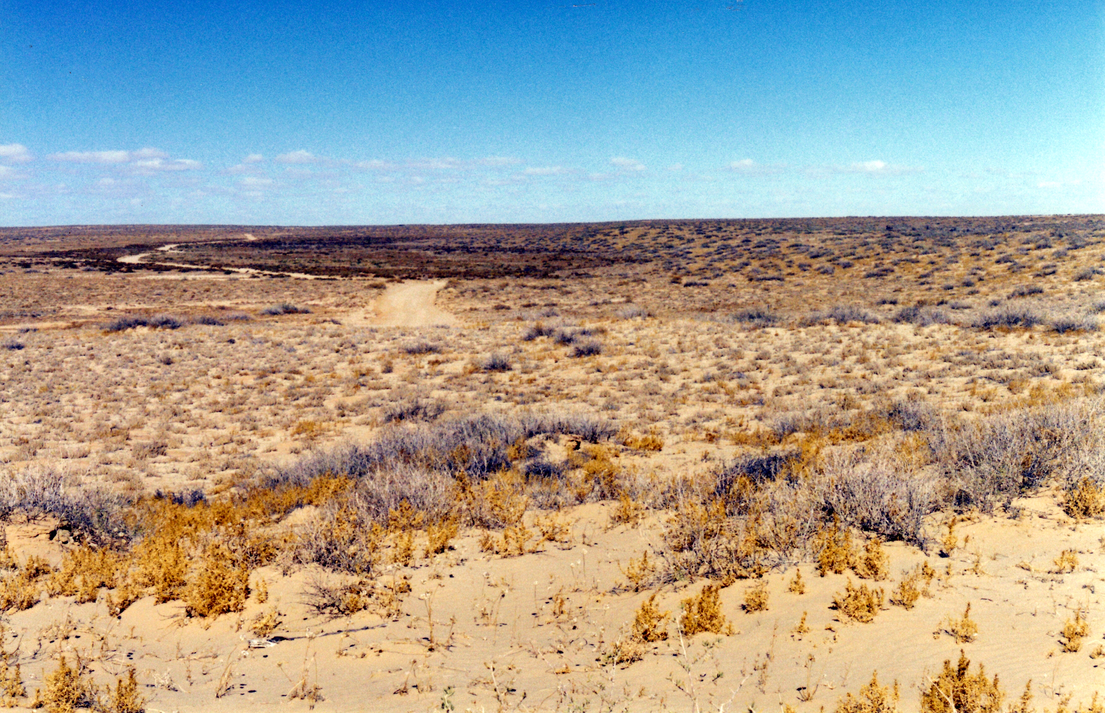 05-25-1999 05 track near Level Post Bay.jpg