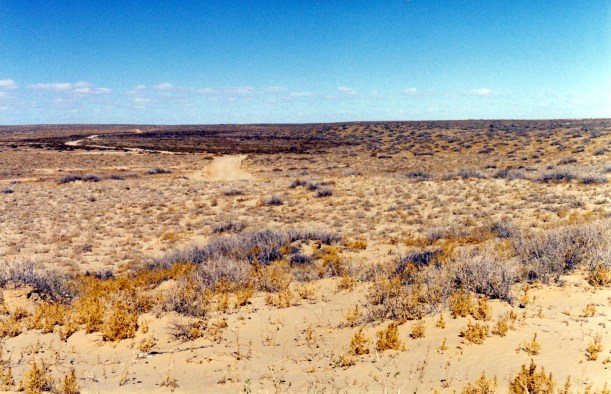 05-25-1999 05 track near Level Post Bay.jpg