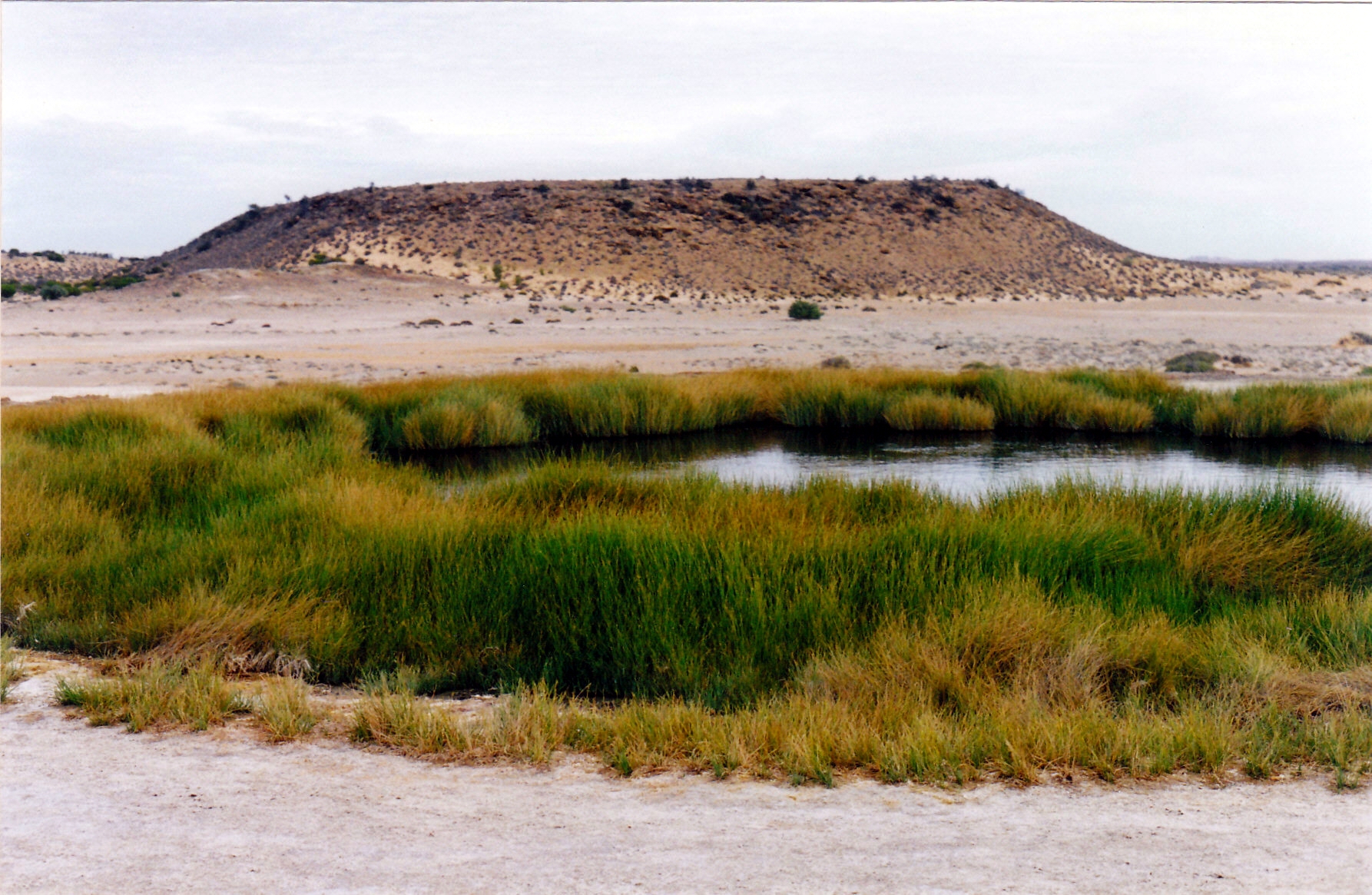 05-26-1999 11 blanches cup and mt hamilton