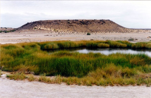 05-26-1999 11 blanches cup and mt hamilton