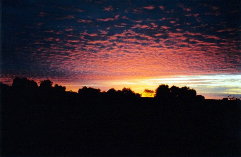 05-27-1999 07 sunset coward springs.jpg