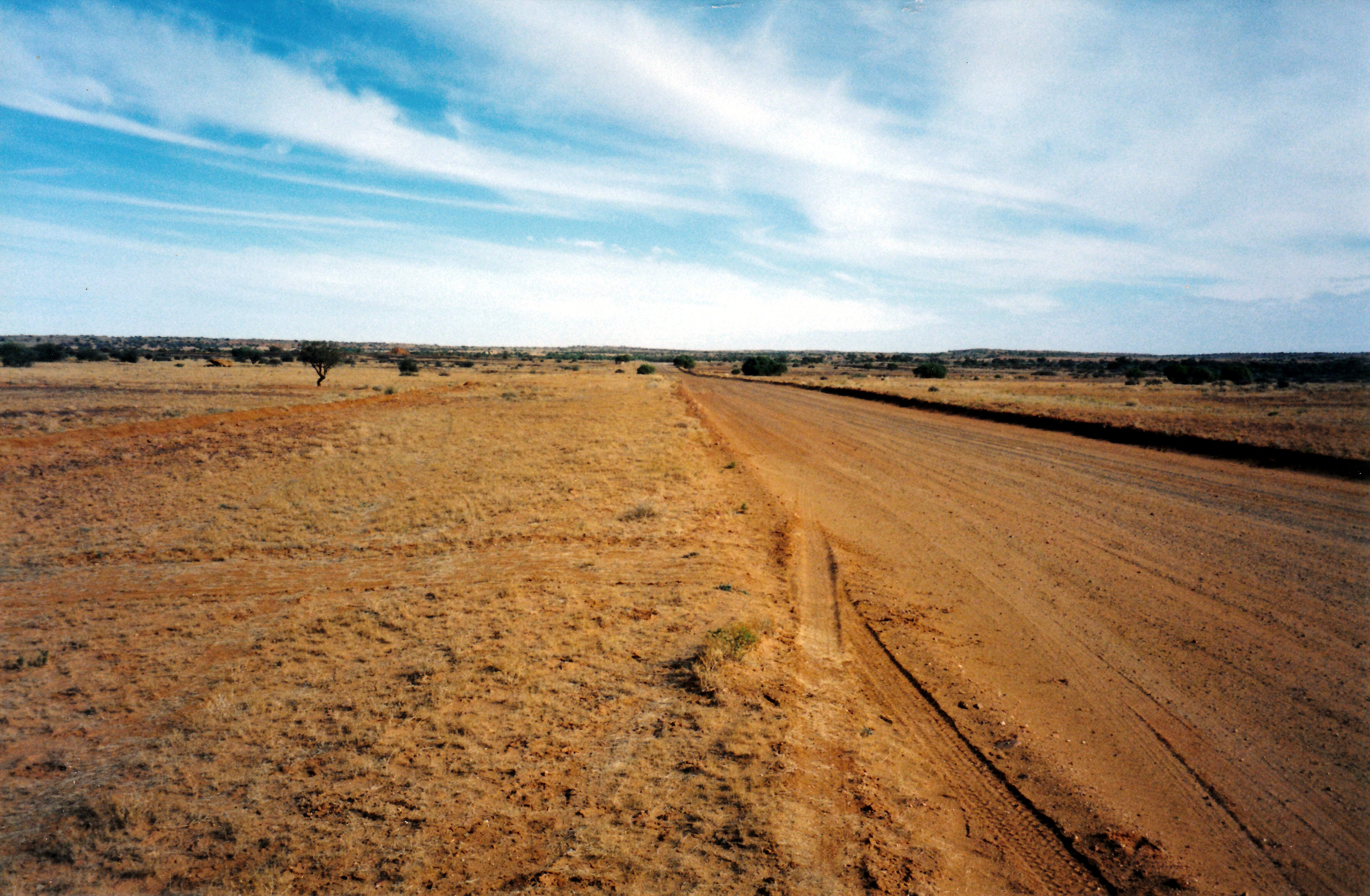 05-28-1999 08 Ood Tk nth of William Ck